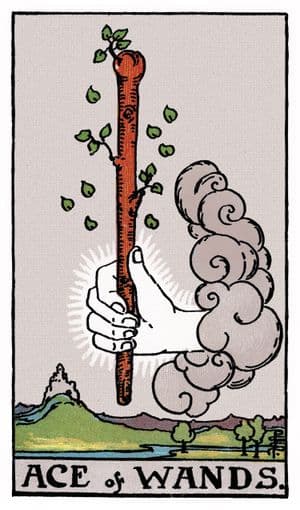 Ace of Wands