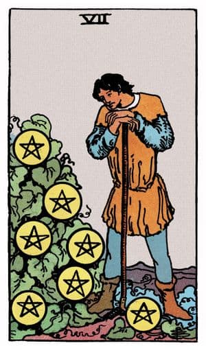 Seven of Pentacles